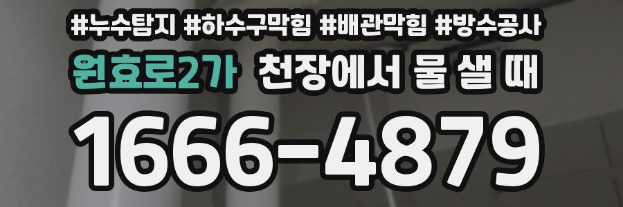 원효로2가 천장에서 물 샐 때