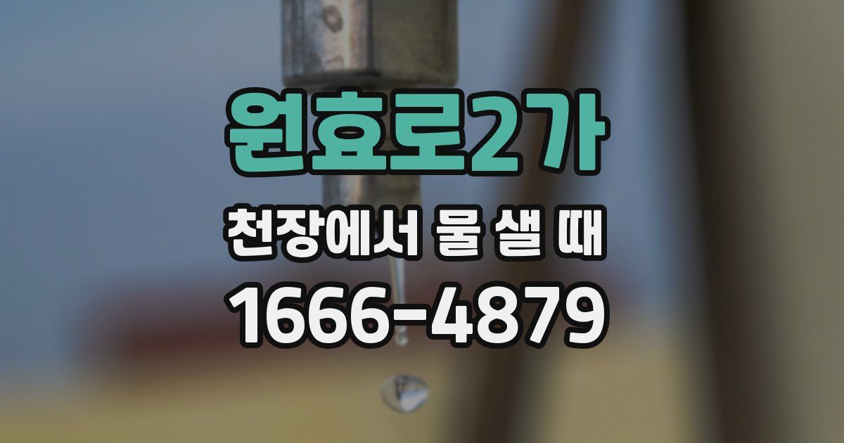 원효로2가 천장에서 물 샐 때