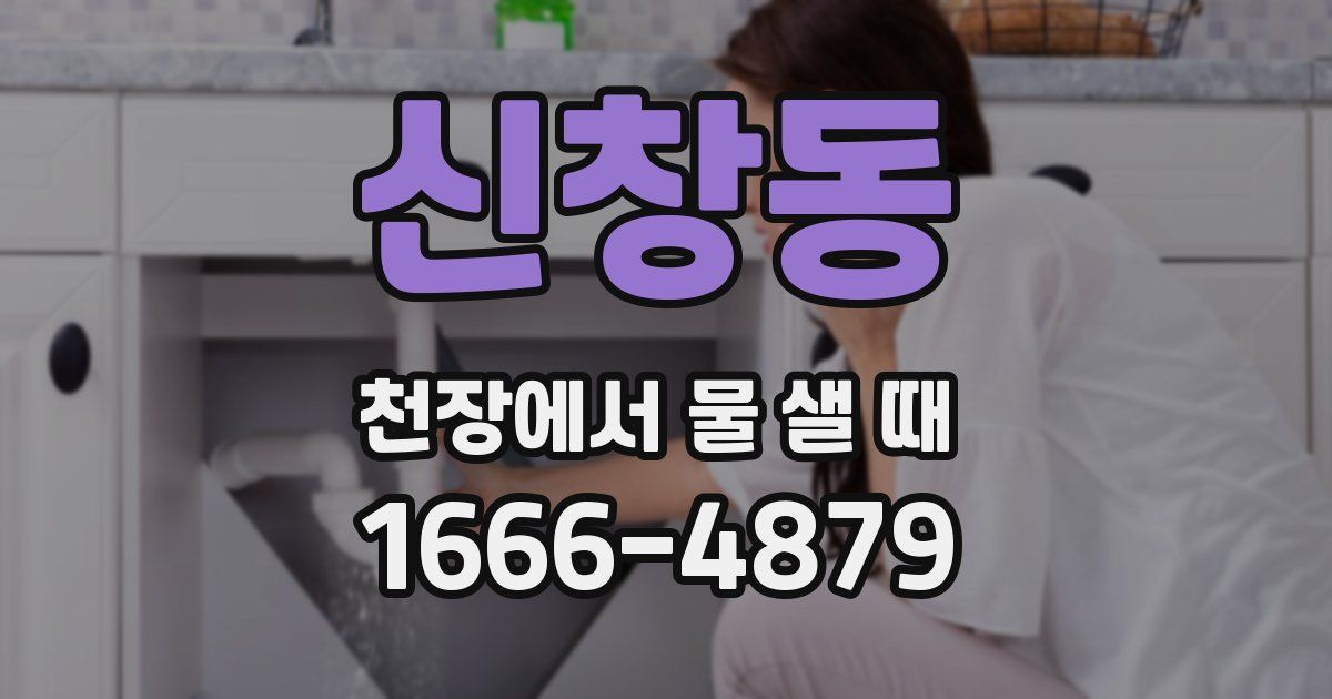 신창동 천장에서 물 샐 때