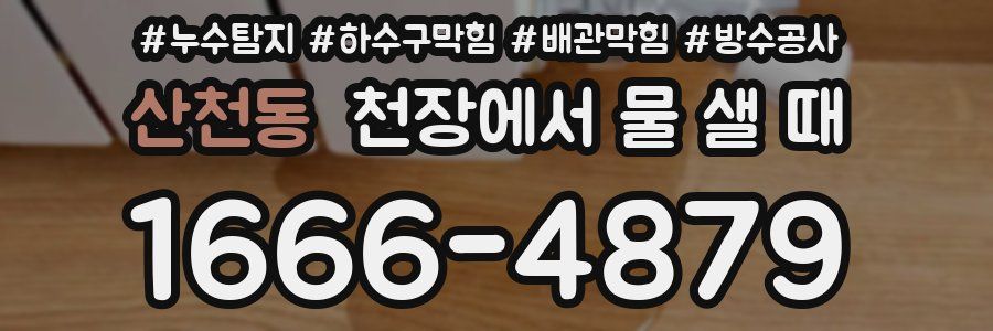 산천동 천장에서 물 샐 때