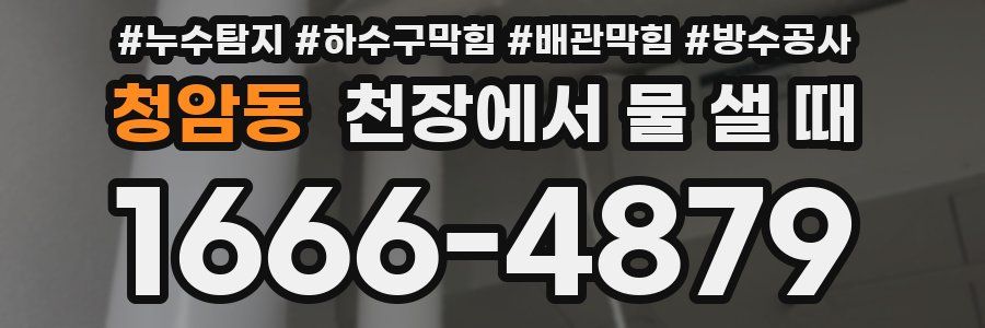 청암동 천장에서 물 샐 때