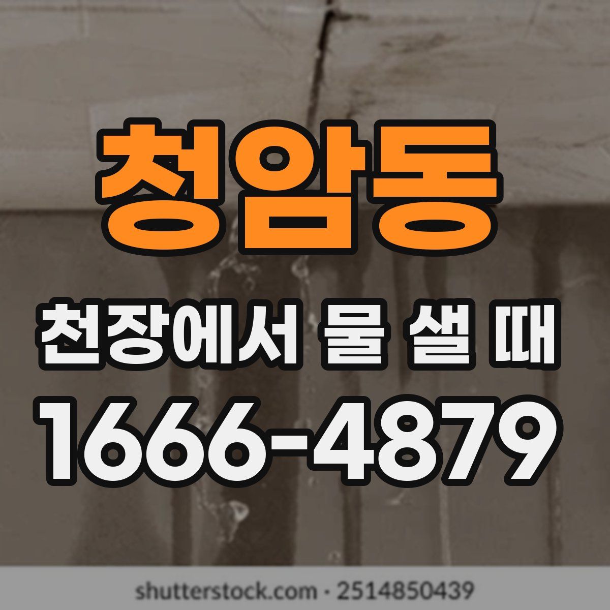 청암동 천장에서 물 샐 때