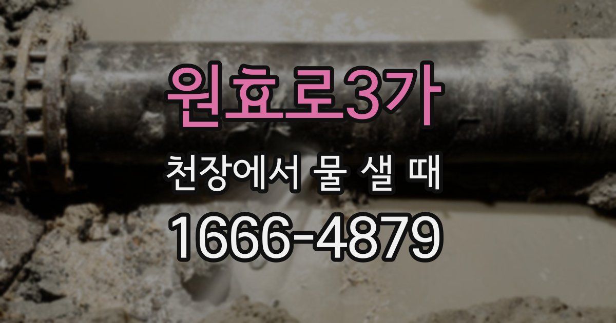 원효로3가 천장에서 물 샐 때