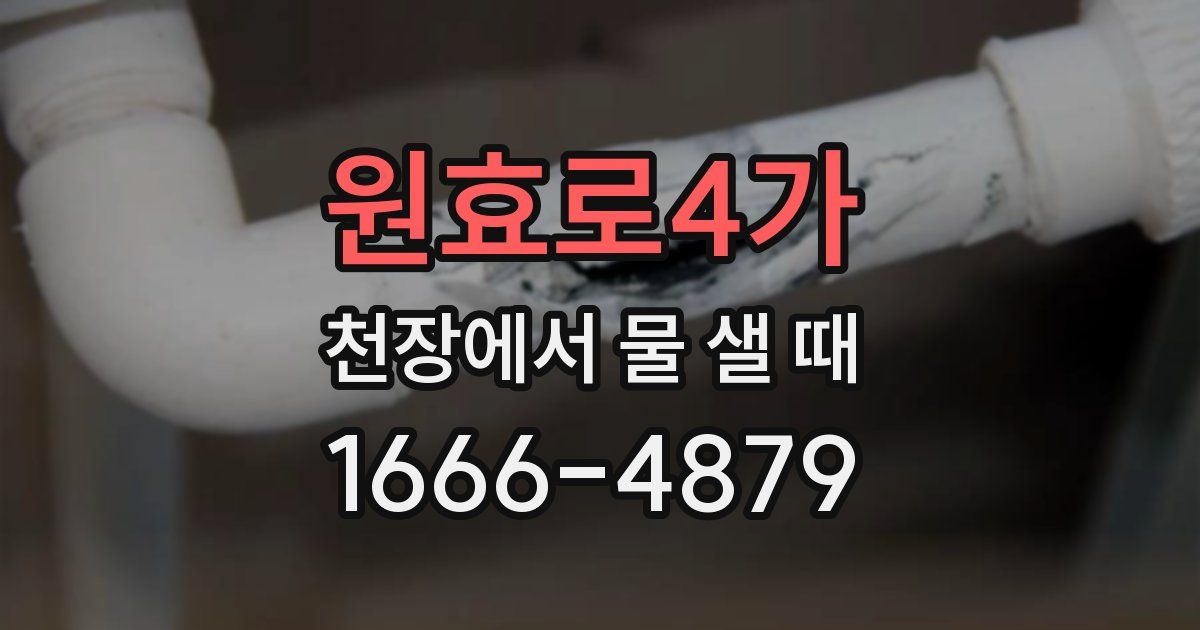 원효로4가 천장에서 물 샐 때