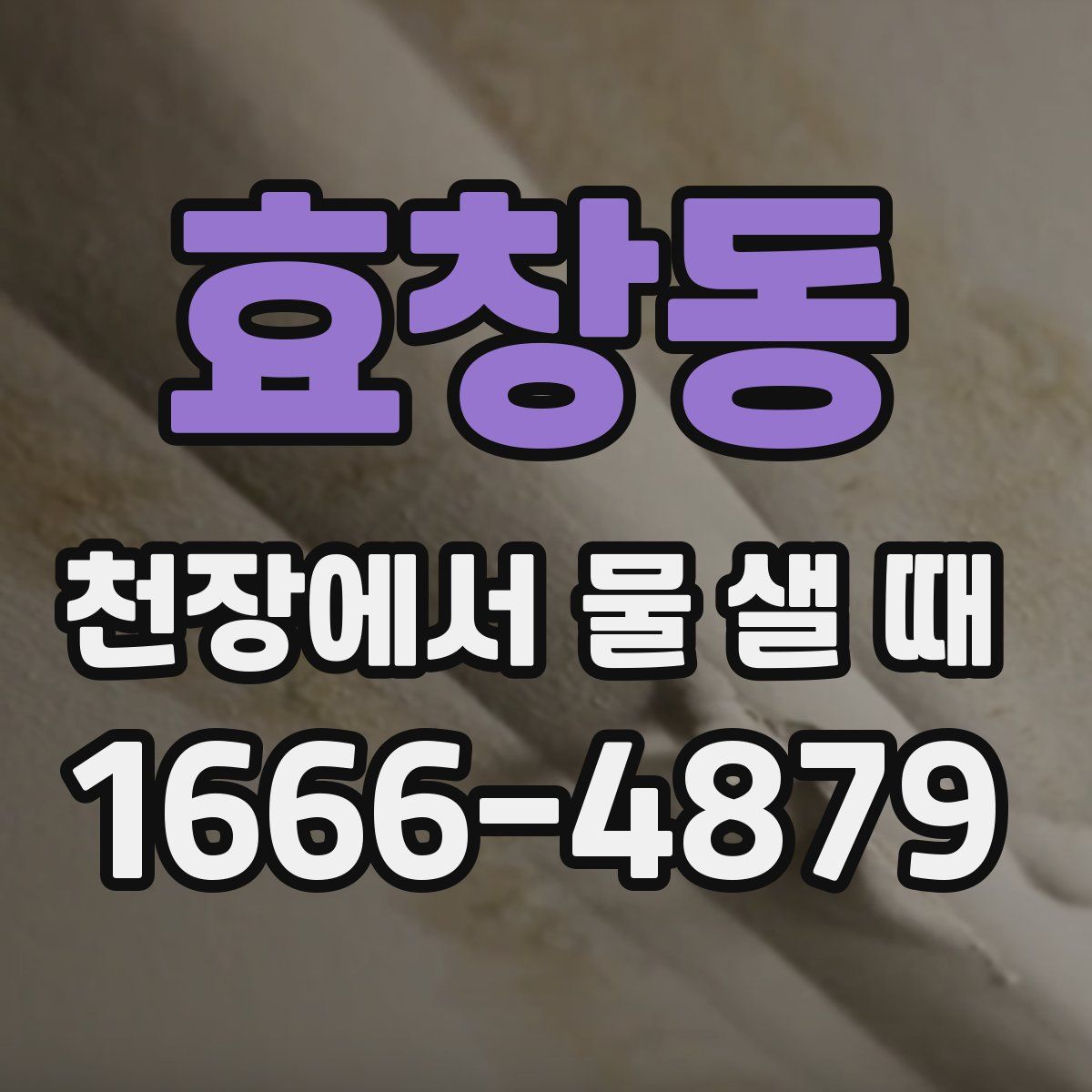 효창동 천장에서 물 샐 때