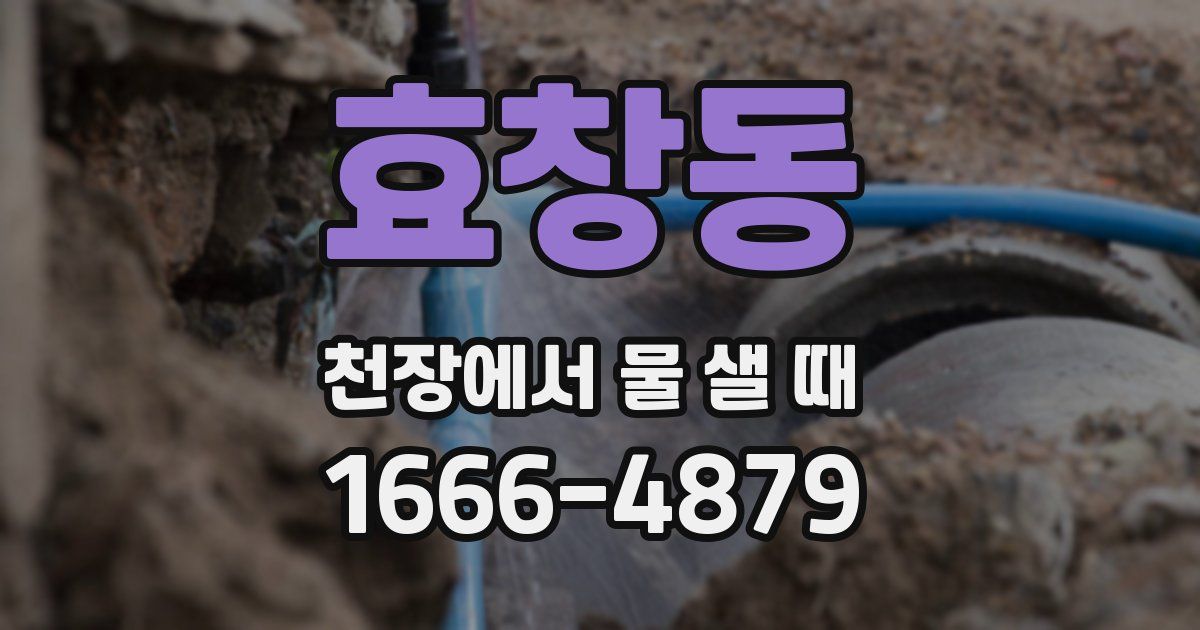 효창동 천장에서 물 샐 때