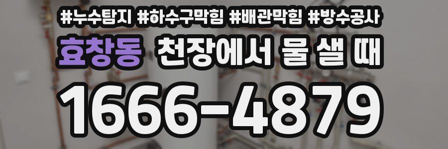 효창동 천장에서 물 샐 때