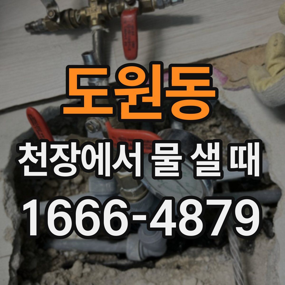 도원동 천장에서 물 샐 때