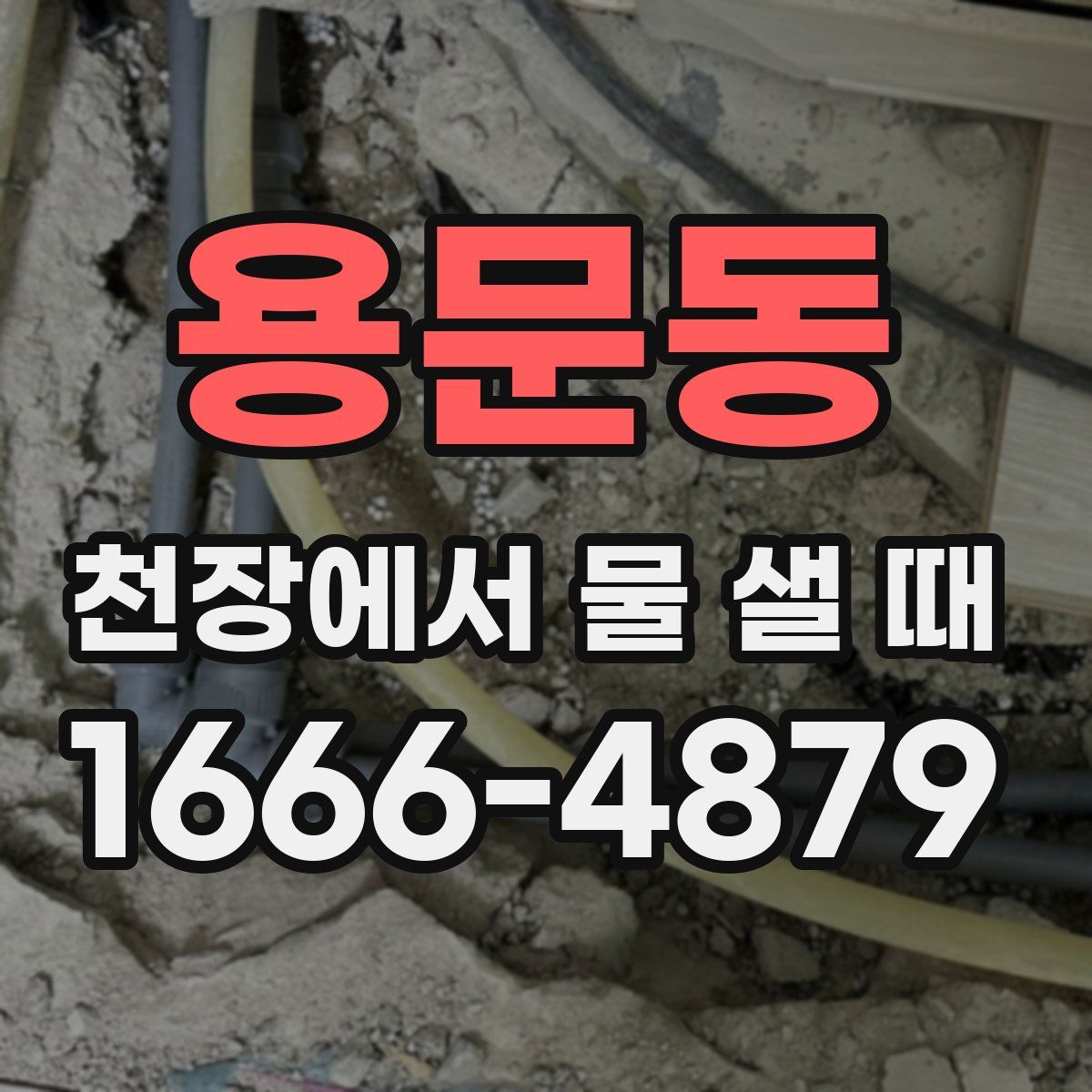 용문동 천장에서 물 샐 때