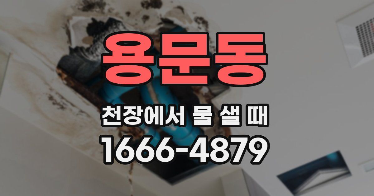 용문동 천장에서 물 샐 때