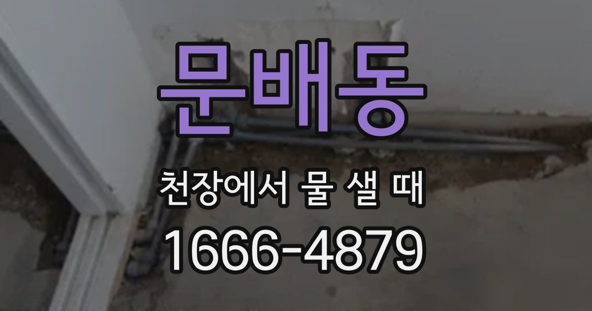 문배동 천장에서 물 샐 때