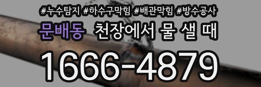 문배동 천장에서 물 샐 때