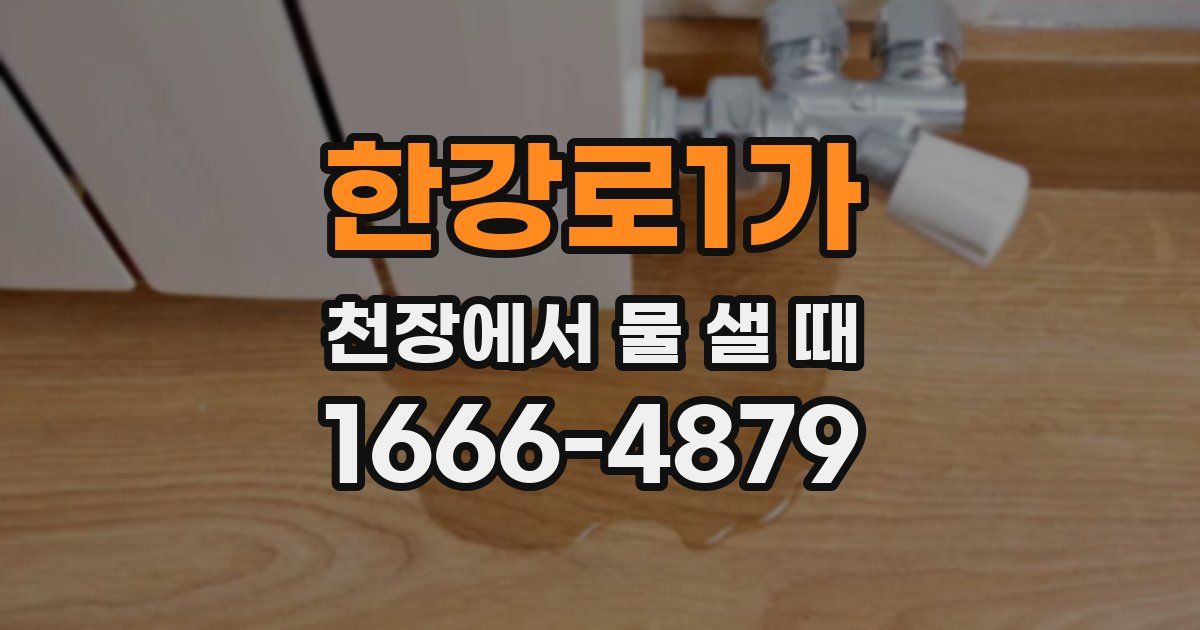 한강로1가 천장에서 물 샐 때