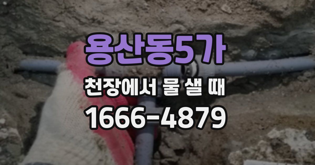 용산동5가 천장에서 물 샐 때