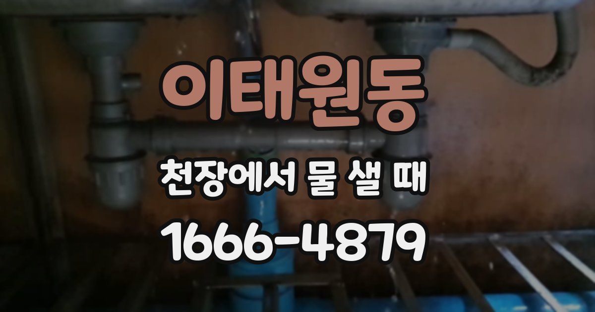 이태원동 천장에서 물 샐 때