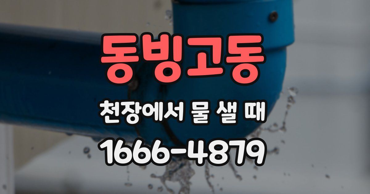 동빙고동 천장에서 물 샐 때