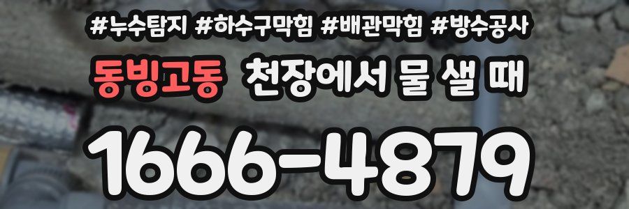 동빙고동 천장에서 물 샐 때