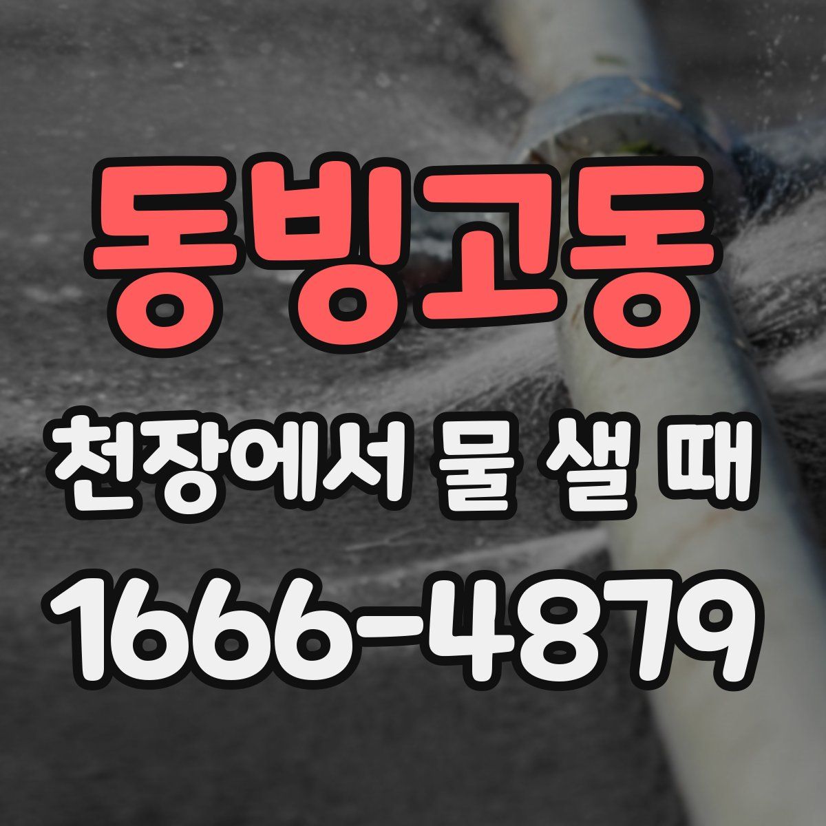 동빙고동 천장에서 물 샐 때