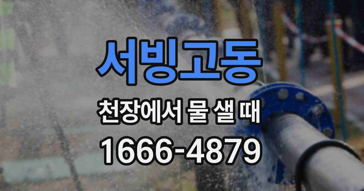 서빙고동 천장에서 물 샐 때