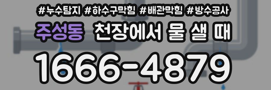 주성동 천장에서 물 샐 때