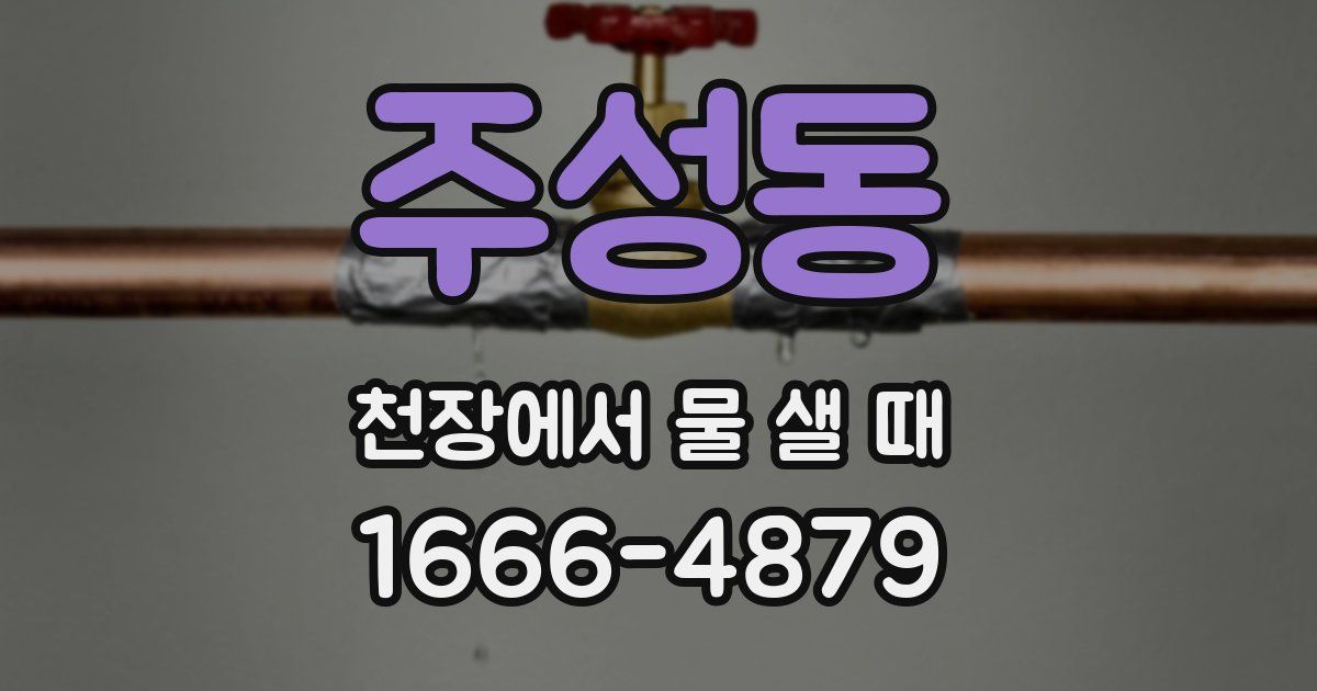 주성동 천장에서 물 샐 때