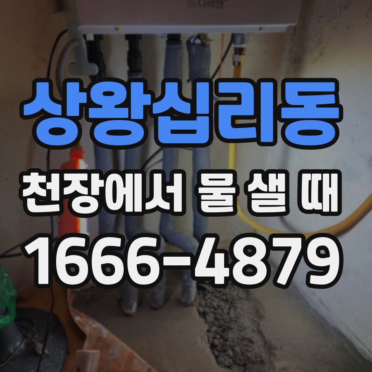 상왕십리동 천장에서 물 샐 때