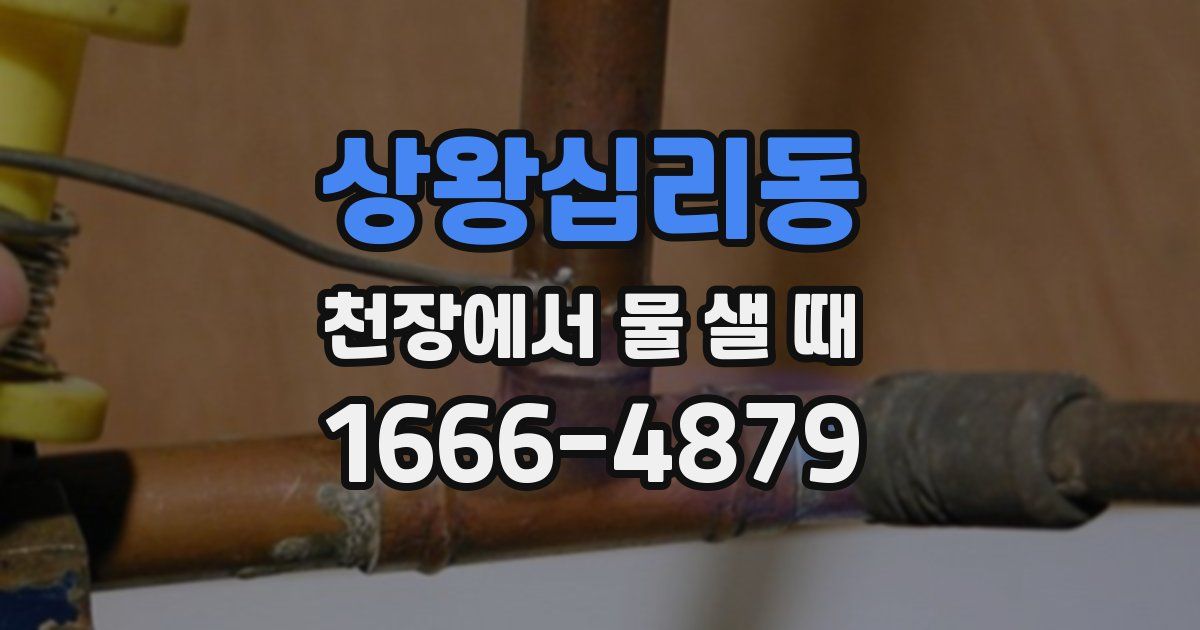 상왕십리동 천장에서 물 샐 때