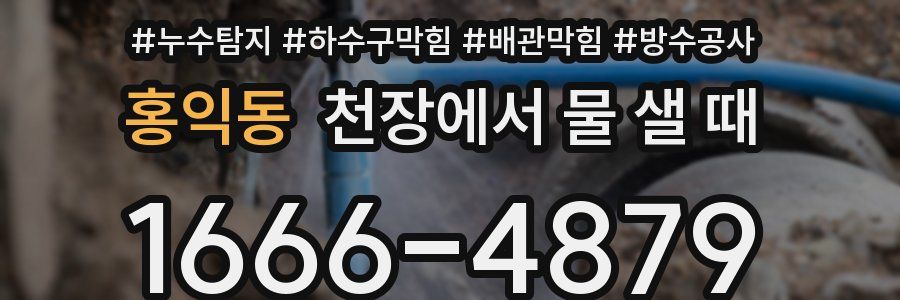 홍익동 천장에서 물 샐 때