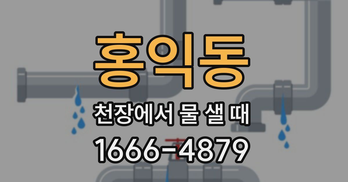 홍익동 천장에서 물 샐 때