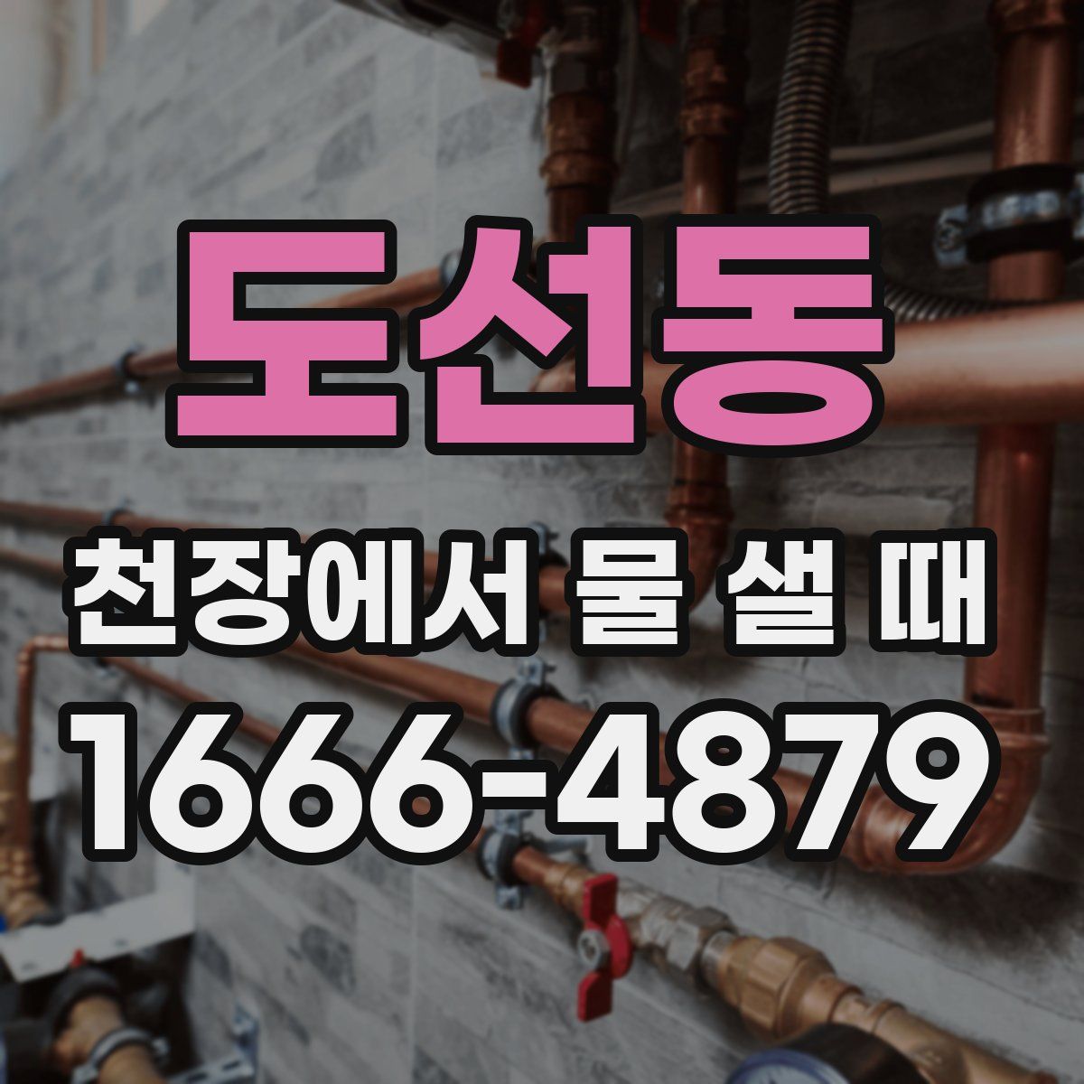 도선동 천장에서 물 샐 때