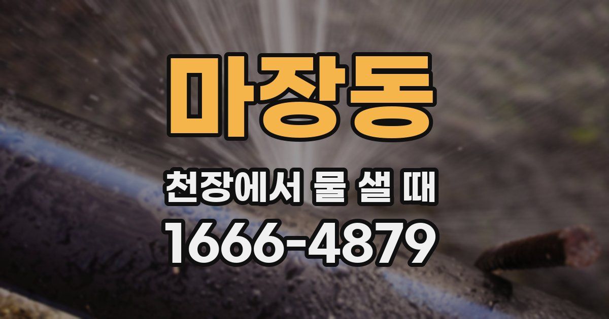 마장동 천장에서 물 샐 때