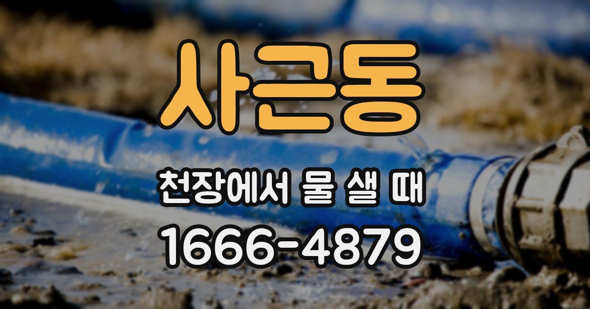 사근동 천장에서 물 샐 때