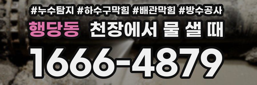 행당동 천장에서 물 샐 때