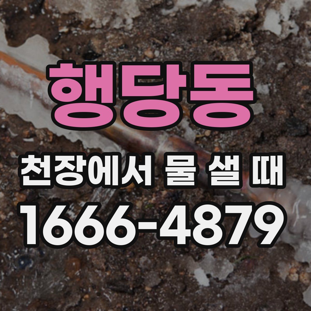 행당동 천장에서 물 샐 때