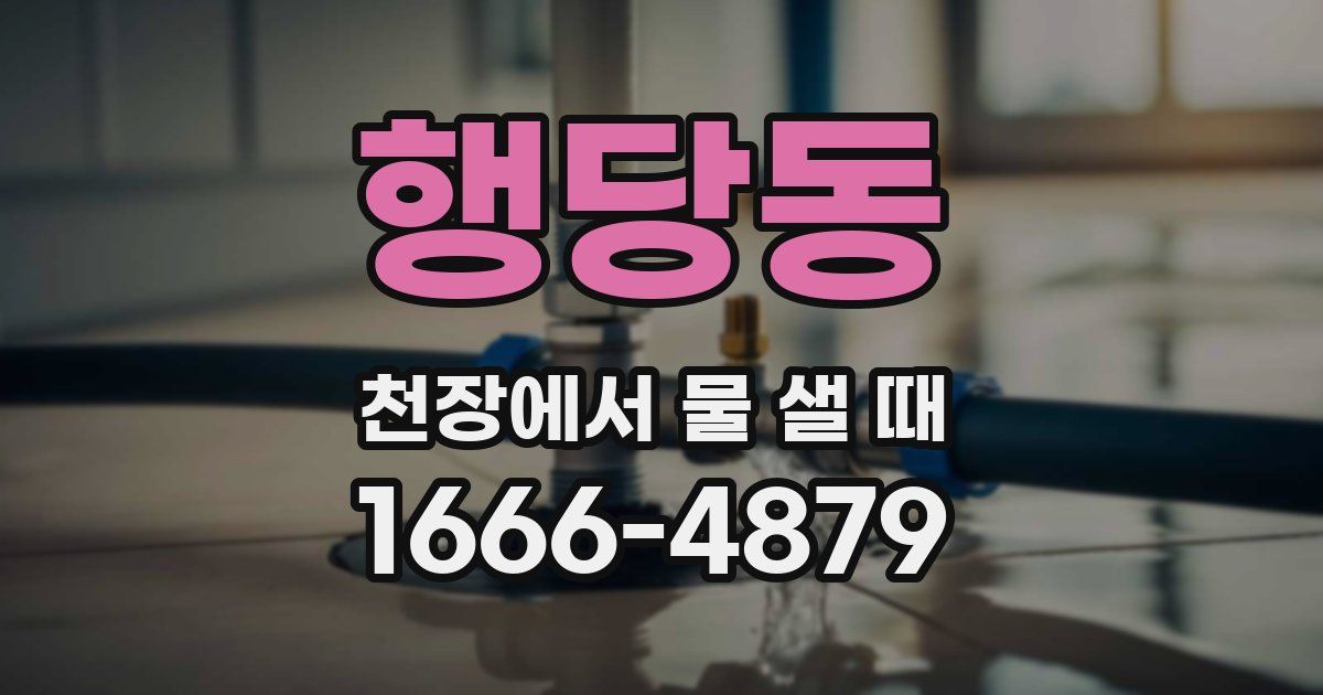 행당동 천장에서 물 샐 때
