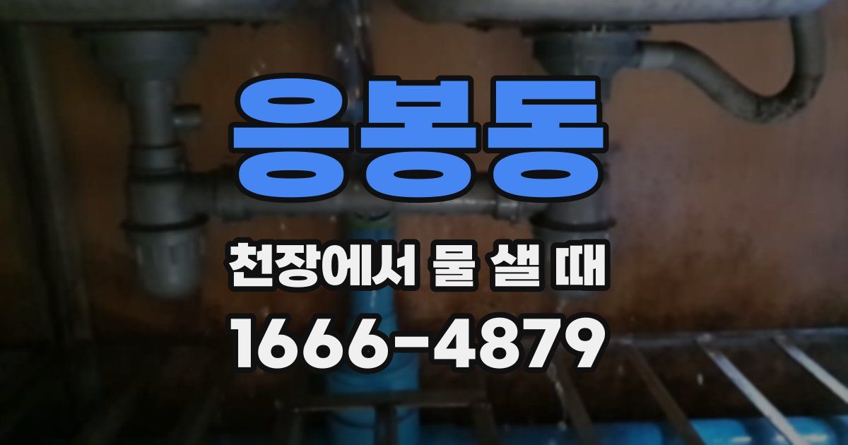 응봉동 천장에서 물 샐 때