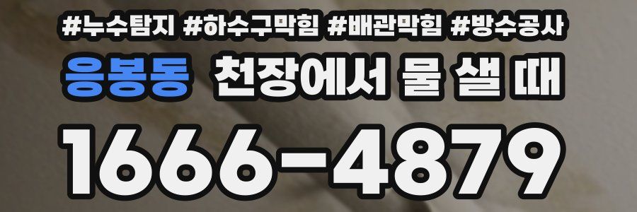 응봉동 천장에서 물 샐 때