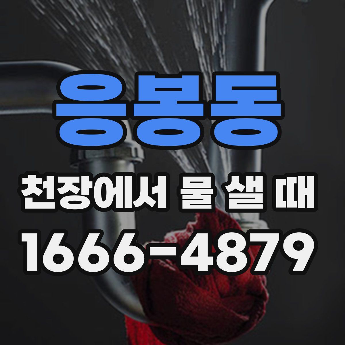 응봉동 천장에서 물 샐 때