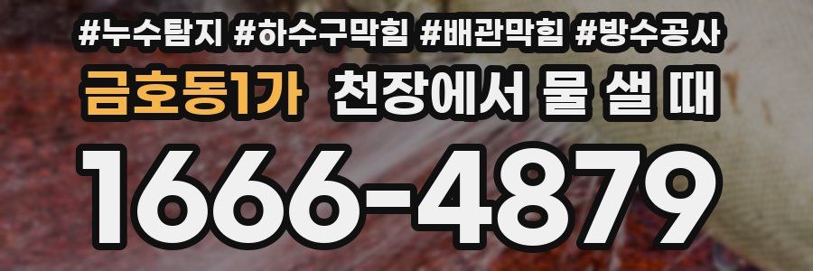 금호동1가 천장에서 물 샐 때