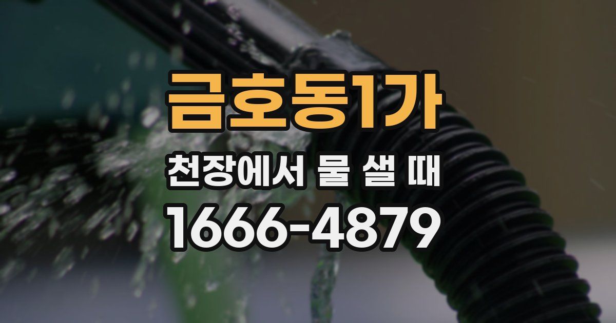금호동1가 천장에서 물 샐 때