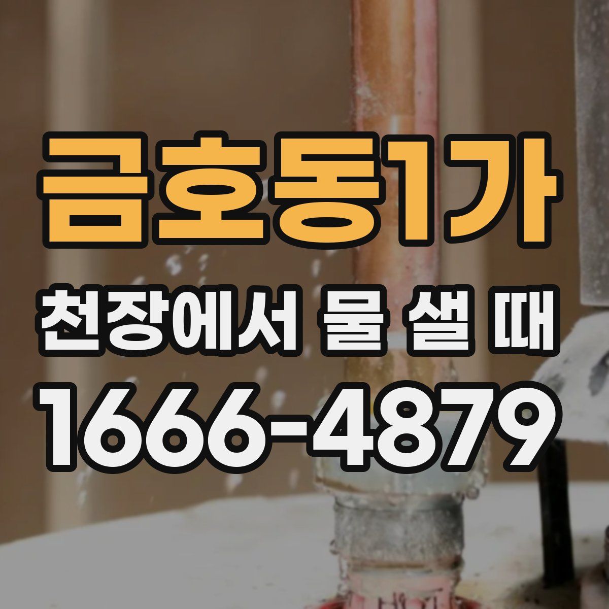 금호동1가 천장에서 물 샐 때