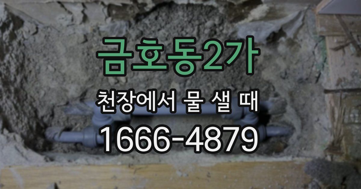 금호동2가 천장에서 물 샐 때