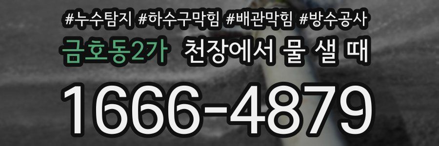 금호동2가 천장에서 물 샐 때