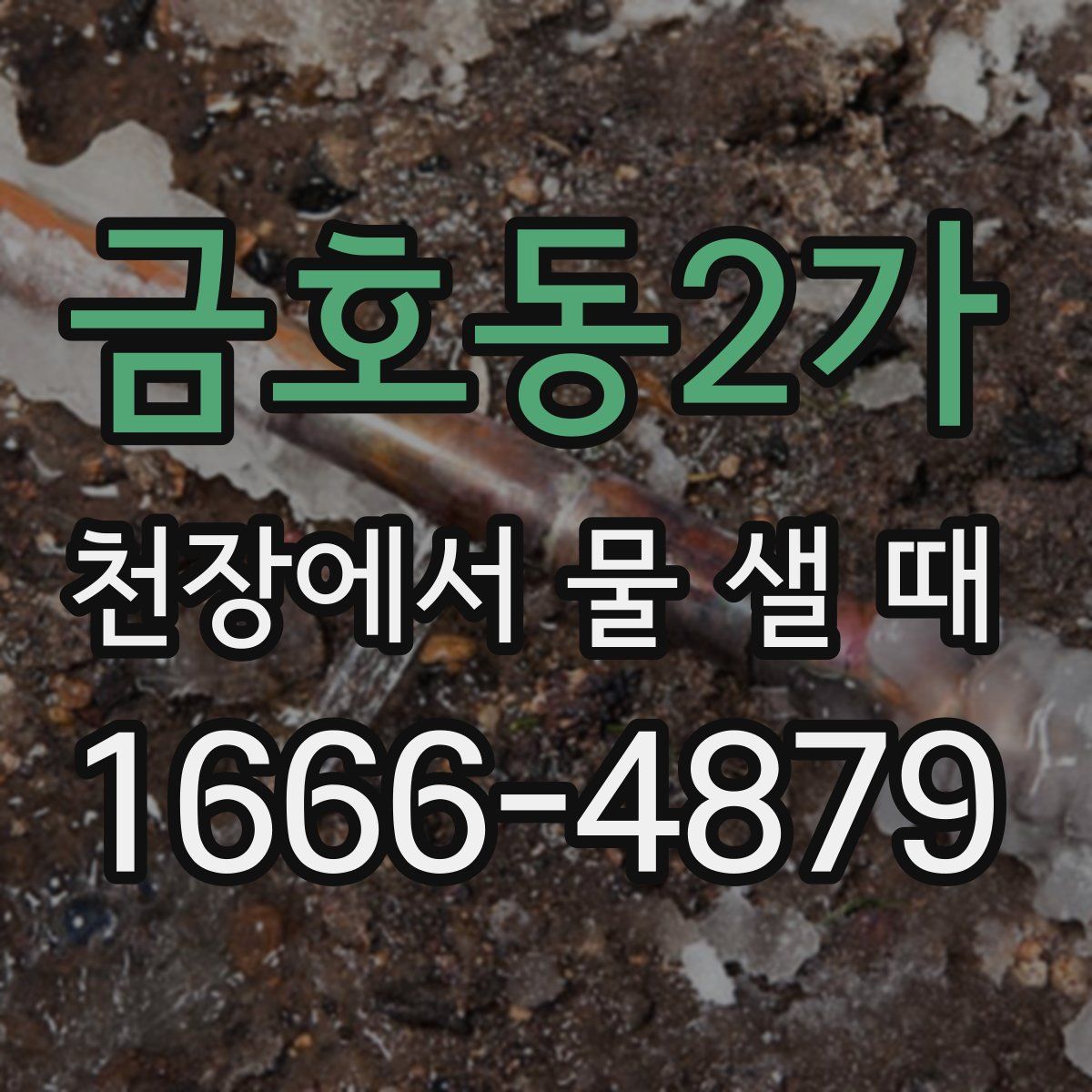 금호동2가 천장에서 물 샐 때