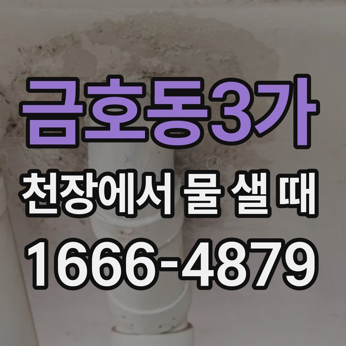 금호동3가 천장에서 물 샐 때
