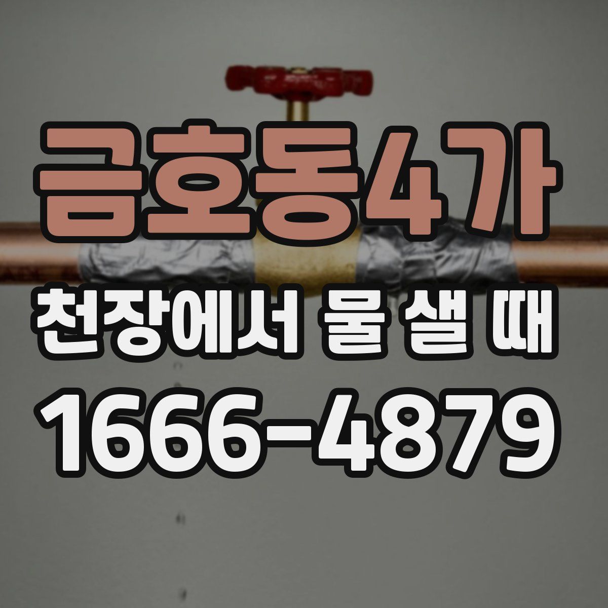 금호동4가 천장에서 물 샐 때