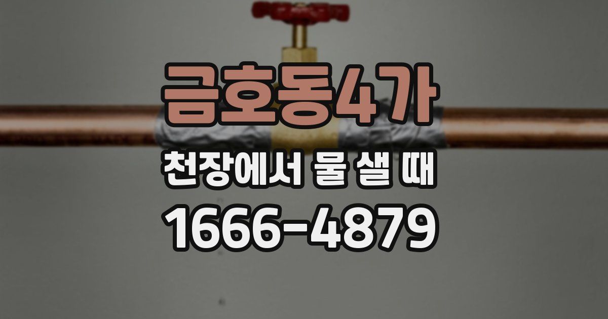 금호동4가 천장에서 물 샐 때