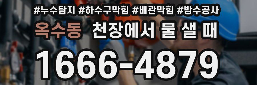 옥수동 천장에서 물 샐 때