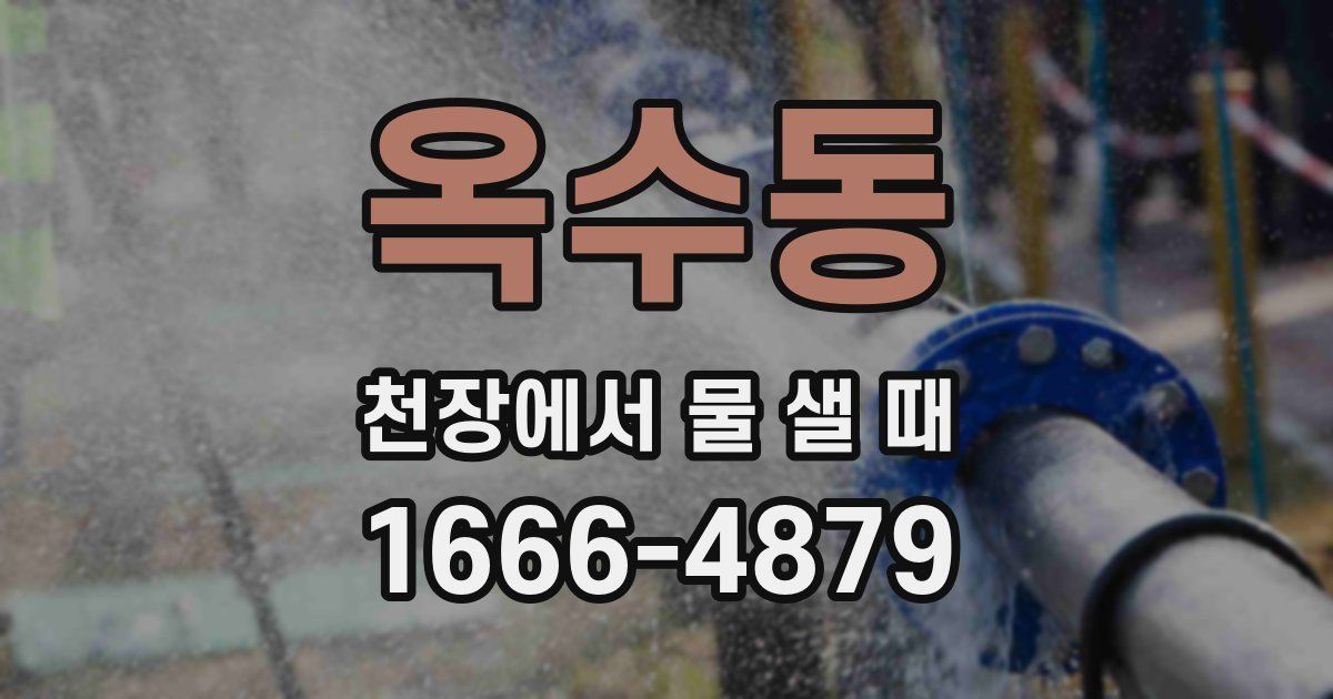 옥수동 천장에서 물 샐 때