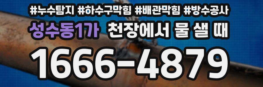성수동1가 천장에서 물 샐 때